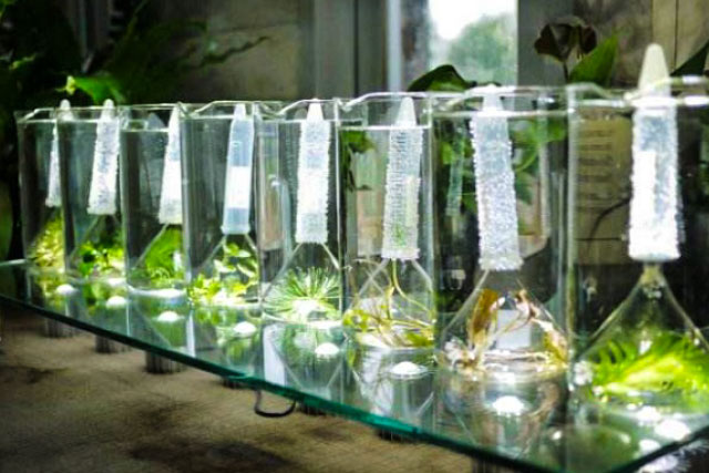 水氧1.jpg 水氧1.jpg